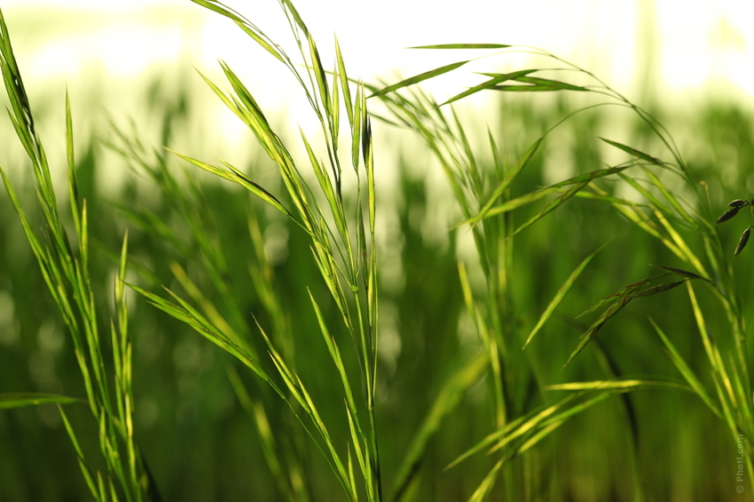 Contributi agricoli, capitolo da rivedere