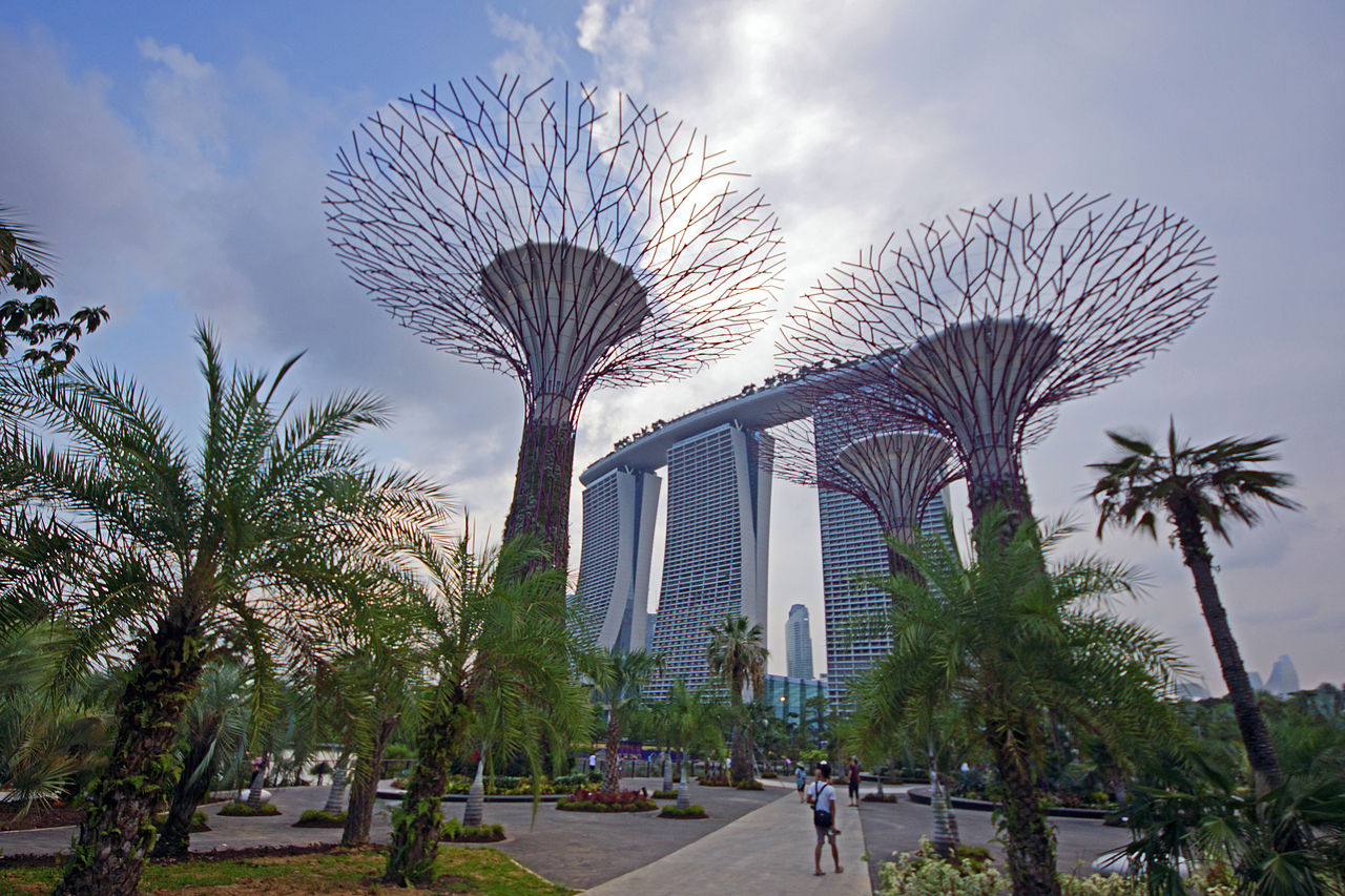 Da non perdere - Singapore, Super Tree Grove