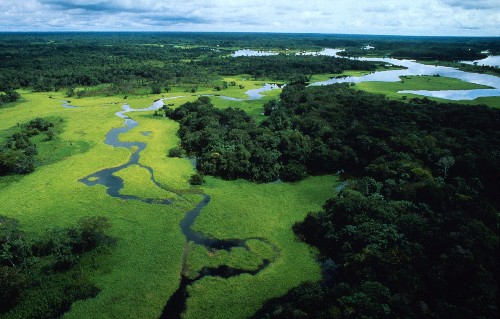 WWF, Amazzonia sempre più a rischio