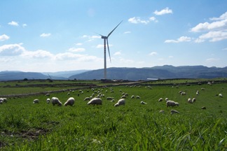 Associazioni ambientaliste: sull'Ambiente, competente è lo Stato