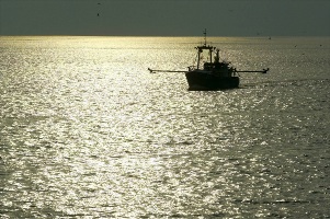 Pesca, il rilancio del settore in cinque mosse