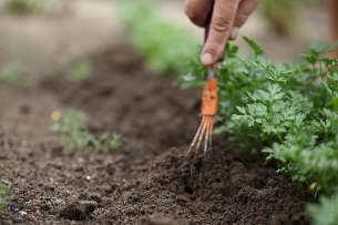 Rapporto Fao, le reazioni