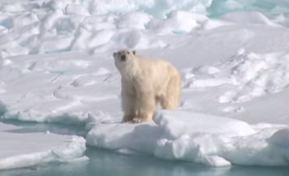Droni del Cnr in Artico per studiare i cambiamenti climatici