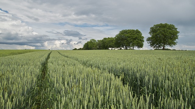 Agricoltura sociale, approvata legge al Senato