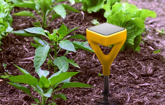 Edyn, sensore a energia solare per giardino e orto
