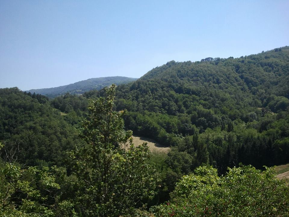 Italia e biodiversità. Una ricchezza minacciata