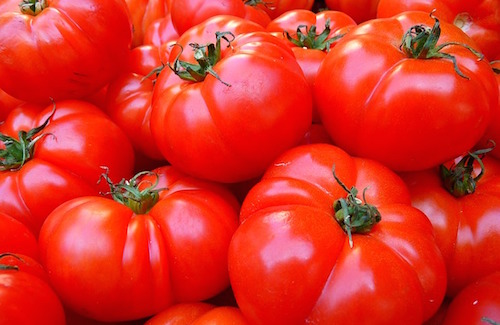 Pomodoro: la filiera italiana sostenibile, ai primi posti nel mondo