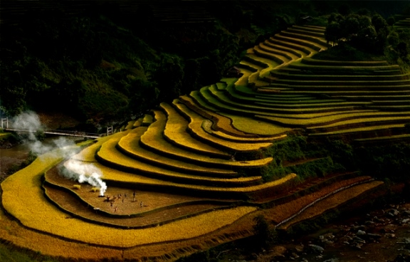 Migliore Autore Thach Nguyen Ngoc-Vietnam