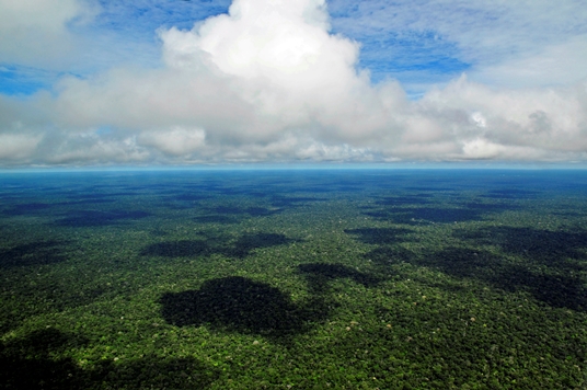 Greenpeace e i Ka’apor per difendere la Foresta Amazzonica