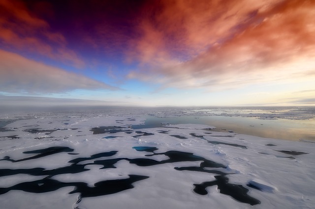 Trivelle, Shell lascia l'Artico