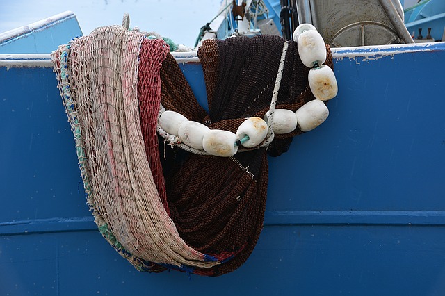 Mangiare, torna il pesce fresco, terminato il fermo in Adriatico