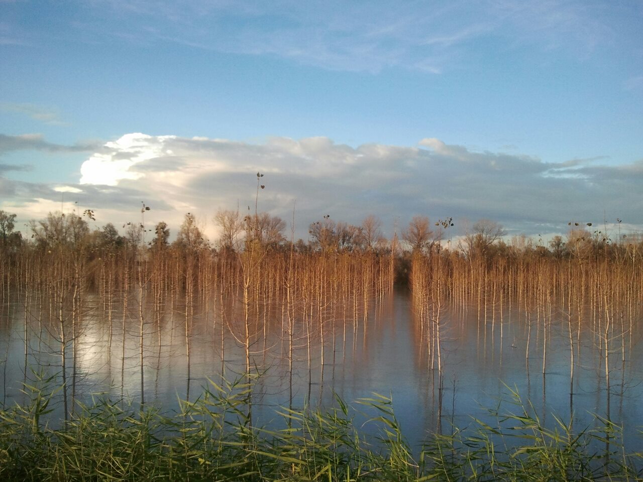 Risorse fluviali. L'Emilia-Romagna aderisce alla Carta nazionale dei contratti di fiume