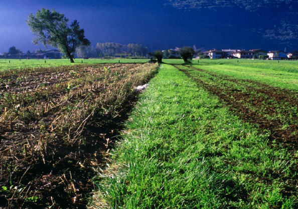 Agricoltura, le novità nella legge di stabilità