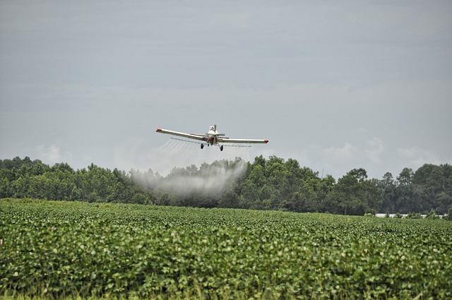Pesticidi, il rapporto di Greenpeace, minacciato il 24,5% delle specie vulnerabili