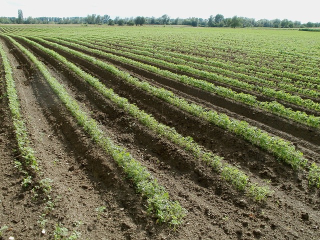 Crea, aree agricole vulnerabili al rischio climatico